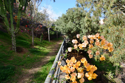 Néstor Álamo Park