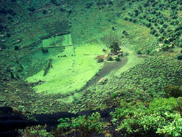 Vy över Caldera de Bandama