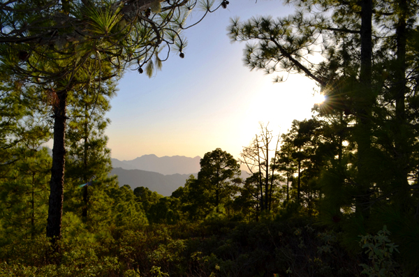 Gran Canaria's hinterland