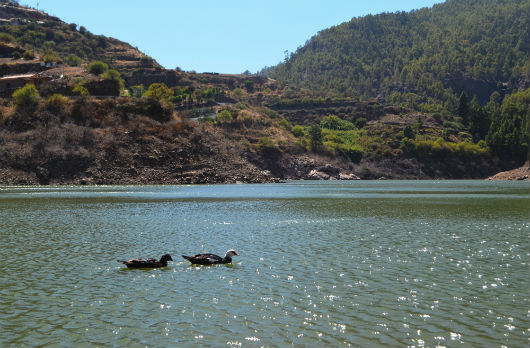 Los Pérez Reservoir