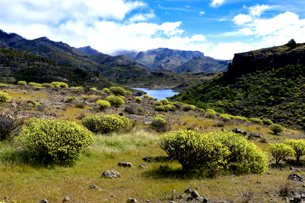 Der Stausee Presa de las Niñas