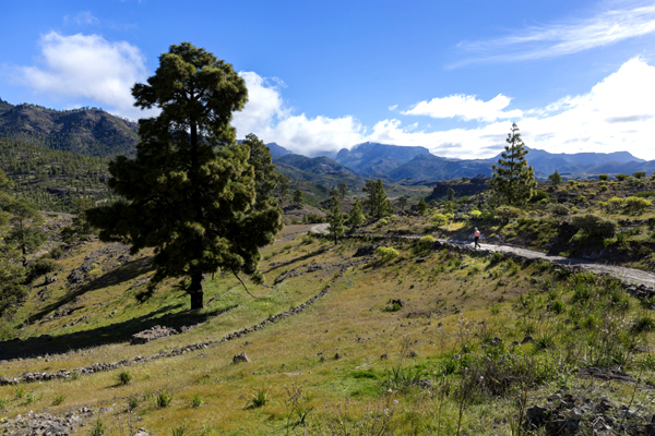 Sendero en el interior de Gran Canaria