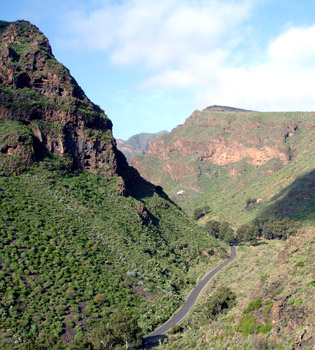 [] Barranco de Guayadeque