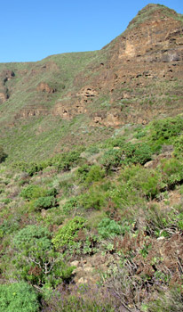 Barranco de Guayadeque