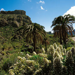 Güi Güi Natural Reserve