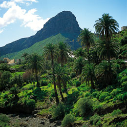 Blick auf den Roque Aguayro