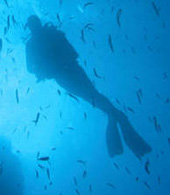 Mergulhador no mar de Gran Canaria