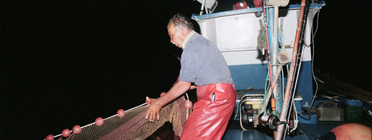 Samla in näten vid sardinfiske, nära Agaete