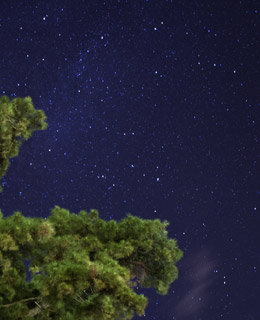 A view of the stars at the Summit of Gran Canaria