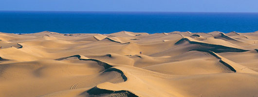 Maspalomas dunes