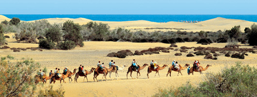 Camel ride over the Dunes of Maspalomas