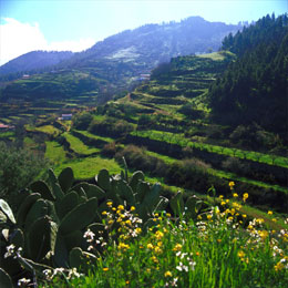 Las Lagunetas landscape