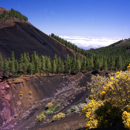 Montañón Negro