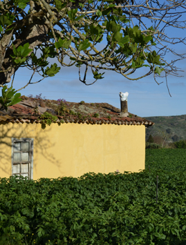 Guard house at the estate