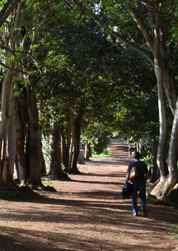 Entrance path to Osorio