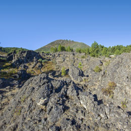 Views from the Pinos de Gáldar Viewpoint