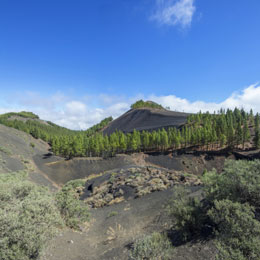 Views from the Pinos de Gáldar Viewpoint