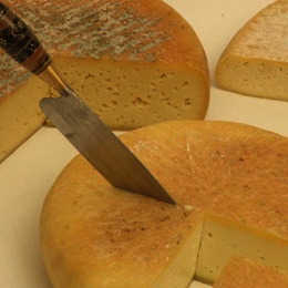 Typical Canary knife cutting rennet flower cheese from Guía