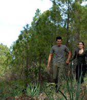 Couple walking hand in hand in Tamadaba