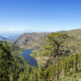 Reserva Natural Integral de Inagua  (Integral Natural Reserve)