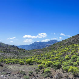 Reserva Natural Integral de Inagua  (Integral Natural Reserve)