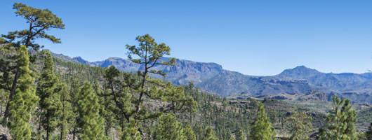 Reserva Natural Integral de Inagua (Das Integrierte Naturreservat)