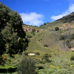 Pico de Bandama sett från kraterns inre