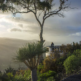 &quot;La Marquesa de Arucas&quot; Viewpoint