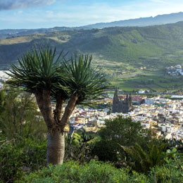Vista desde el Mirador de la Montaña de Arucas