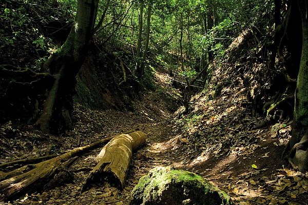 Finca de Osorio