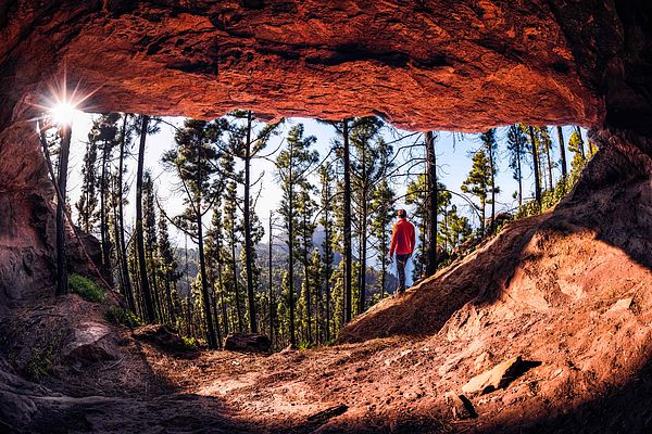 Parco Naturale di Tamadaba, Gran Canaria